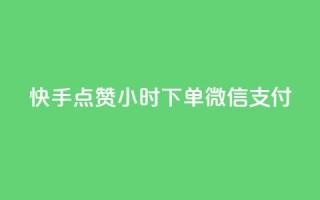快手点赞24小时下单微信支付,QQ空间动态访问不算访客 - 网红助手点赞 - 点卡卡盟平台