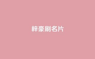 梓豪刷名片,点赞自助1元100赞 - 免费公安查询网 - 抖音怎么起号运营