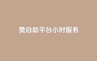 赞自助平台24小时服务,全民k歌刷收听量软件正版 - ks免费业务网 - ks1元100粉