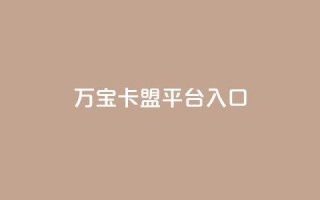 万宝卡盟平台入口,快手点赞链接入口在哪里 - 全网最低价业务网站 - 快手低价二十四小时下单平台
