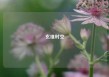 玄维时空
