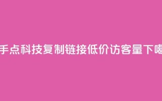 快手点科技复制链接 - 低价qq访客量