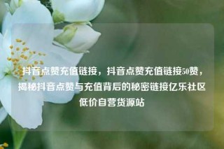 抖音点赞充值链接，抖音点赞充值链接50赞，揭秘抖音点赞与充值背后的秘密链接亿乐社区低价自营货源站