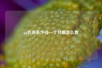 qq会员多少钱一个月啊怎么看