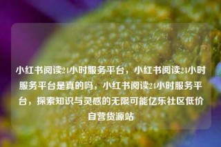 小红书阅读24小时服务平台，小红书阅读24小时服务平台是真的吗，小红书阅读24小时服务平台，探索知识与灵感的无限可能亿乐社区低价自营货源站