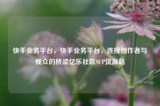 快手业务平台，快手业务平台，连接创作者与观众的桥梁亿乐社区SUP货源站