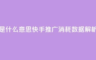快手推广消耗数据是什么意思 - 快手推广消耗数据解析与意义解读！
