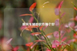顺风车辅助软件哪个好