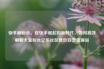 快手刷粉丝，在快手崛起的新时代，如何高效刷取大量粉丝亿乐社区低价自营货源站