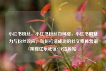小红书粉丝，小红书粉丝如何涨，小红书的魅力与粉丝效应，如何打造成功的社交媒体营销策略亿乐社区SUP货源站