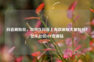 抖音刷粉丝，如何在抖音上有效刷取大量粉丝？亿乐社区SUP货源站