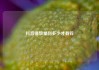 抖音播放量到多少才有钱