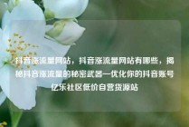 抖音涨流量网站，抖音涨流量网站有哪些，揭秘抖音涨流量的秘密武器—优化你的抖音账号亿乐社区低价自营货源站