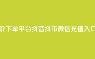 24小时低价下单平台抖音 - 抖币微信充值入口