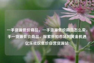 一手货源低价商品，一手货源低价商品怎么卖，手一货源低价商品，探索折扣市场的黄金机遇亿乐社区低价自营货源站