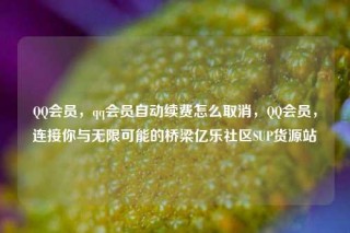 QQ会员，qq会员自动续费怎么取消，QQ会员，连接你与无限可能的桥梁亿乐社区SUP货源站