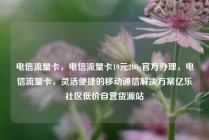 电信流量卡，电信流量卡19元200g官方办理，电信流量卡，灵活便捷的移动通信解决方案亿乐社区低价自营货源站