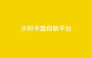24小时卡盟自助平台 - 24小时自助卡盟平台规划指南!