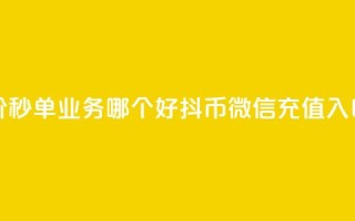 24小时低价秒单业务哪个好 - 抖币微信充值入口