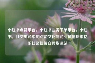小红书点赞平台，小红书业务下单平台，小红书，社交电商中的点赞文化与商业价值探索亿乐社区低价自营货源站