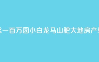 快手粉丝一百万0.01园小白龙马山肥大地房产装修网站,QQ红钻卡盟 - qq业务自助 - 子潇网络平台是合法吗