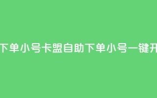 卡盟自助下单dy小号 - 卡盟自助下单，dy小号一键开通!