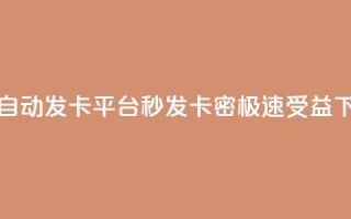 24小时自动发卡平台，秒发卡密，极速受益