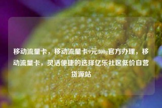 移动流量卡，移动流量卡9元300g官方办理，移动流量卡，灵活便捷的选择亿乐社区低价自营货源站