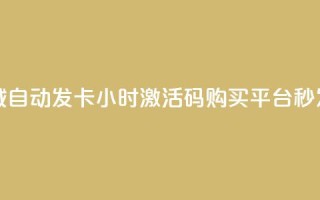 24小时激活码商城自动发卡 - 24小时激活码购买平台，秒发激活码!