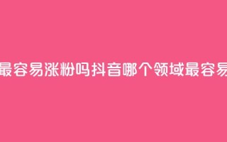 抖音做什么赛道最容易涨粉吗 - 抖音哪个领域最容易增加粉丝？！
