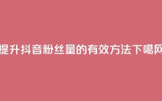 提升抖音粉丝量的有效方法