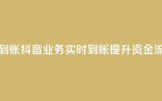 抖音业务秒到账 - 抖音业务实时到账提升资金流动性~