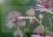 庆阳玄度时空云