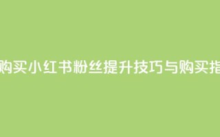 小红书500粉购买 - 小红书500粉丝提升技巧与购买指南!