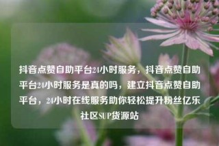 抖音点赞自助平台24小时服务，抖音点赞自助平台24小时服务是真的吗，建立抖音点赞自助平台，24小时在线服务助你轻松提升粉丝亿乐社区SUP货源站