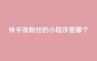 快手涨粉丝的小程序是哪个,QQ空间精选照片怎么设置 - 刷钻卡盟永久钻网站 - qq显示没有在意