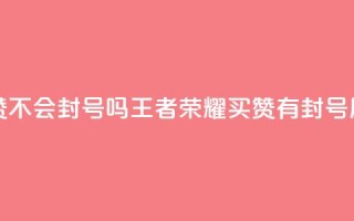 王者荣耀买赞不会封号吗(王者荣耀买赞有封号风险吗？)