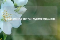 罗姆化学与比亚迪合作开发动力电池防火涂料