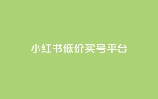 小红书低价买号平台,24自助下单 - 全网最便宜快手业务网站 - qq业务卡盟网站最低价