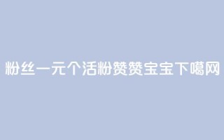 粉丝一元1000个活粉 - KS赞赞宝宝