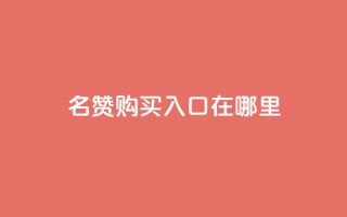 qq名赞购买入口在哪里,抖音低价 - ks双击服务 - 抖音粉丝秒到账便宜便宜