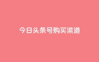 今日头条号购买渠道 - 今日头条号购买途径详解与注意事项!