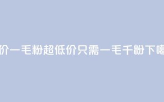 低价Ks一毛1000粉(超低价Ks只需一毛千粉！)