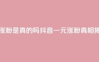 抖音一元涨粉是真的吗 - 抖音一元涨粉真相揭秘！
