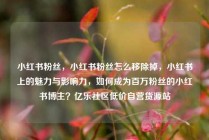 小红书粉丝，小红书粉丝怎么移除掉，小红书上的魅力与影响力，如何成为百万粉丝的小红书博主？亿乐社区低价自营货源站