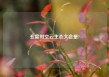 玄度时空云生态大会是?