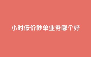 24小时低价秒单业务哪个好 - 哪种24小时低价秒单业务更好？让你省钱又放心!