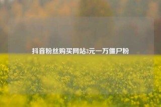 抖音粉丝购买网站3元一万僵尸粉