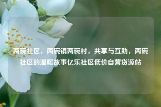 两碗社区，两碗镇两碗村，共享与互助，两碗社区的温暖故事亿乐社区低价自营货源站