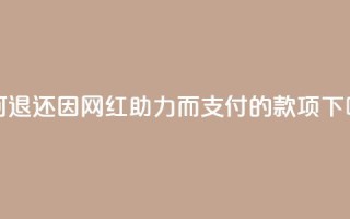 如何退还因网红助力而支付的款项